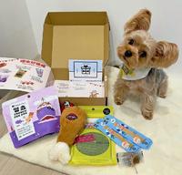 《屋福 Shopwoofwoof》宠物的惊喜包推荐,「屋福箱」让主人与毛孩都可以开心、用心、安心