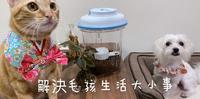 【宠物用品】解决毛孩生活大小事┃推荐电动真空保鲜饲料桶、两用陶瓷宠物碗┃防御工事 Hururu