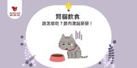 【肾猫鲜食】该怎麽吃？跟肉汤说掰掰！