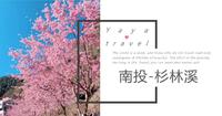 春日限定～杉林溪樱花季
