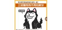 帮狗狗刷牙轻松上手!刷牙技巧一次学起来