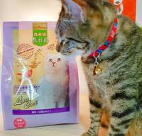 【喵皇开箱】宝多福Love Cat 成猫配方〡挑嘴Alice欲罢不能的新鲜货
