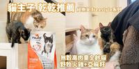 |开箱 猫饲料推荐|维持体重、补充营养 连挑嘴猫也吃了! 纽乐芙 无谷高肉量全龄猫 野牧火鸡+亚麻籽