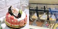 【新竹美食】马卡谛义大利冰淇淋｜全台湾唯一义大利原料，传承义大利Gelato冰淇淋