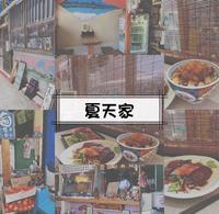绿岛夏天家