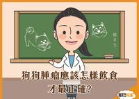 狗狗肿瘤营养与生活照护