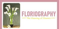 【每日花语】海芋(Calla Lily):信念-《Floriography》