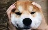 是什麽让你无法运动?