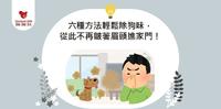 六种方法轻松除狗味， 从此不再皱着眉头进家门！