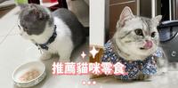 推荐四款猫咪/吃到爆的美味零食