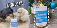 宠物保健品 ▏毛小孩也要吃鱼油?吃鱼油的5大好处~开箱宠物深海鱼油(犬猫适用) 有高纯度OMEGA /毛孩时代