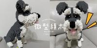 停格动画!!【微型积木-雪纳瑞狗狗】终於完成了!