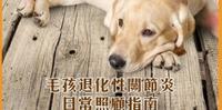 造成犬猫高风险关节炎的原因