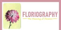 【每日花语】大丽花(Dahlia)：弹性、鼓励、力量、欢乐-《Floriography》