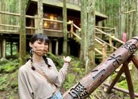 新竹大自然旅游景点|呼吸芬多精、绿色植物、森林疗癒