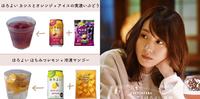 女子会必备！日本超简单「ほろよい微醉」8种低酒精调酒食谱，在家就能体验微醺滋味！