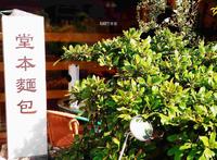 美术馆旁巷弄间飘香二十余年面包舖 香菜花生春卷-台中 Kao空食客
