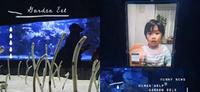 边缘花园鳗忘记人类，水族馆号召民众「跟鱼视讯」，把牠从沙地中唤醒！