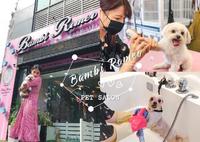 【宠】台南北区宠物美容【班比罗密欧】Bambi Romeo 犬猫沙龙SPA |开元路成大城粉红甜美风宠物美容、安亲、住宿