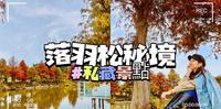 ［嘉义景点］落羽松私藏秘境