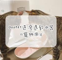 宠物用品分享饮水器