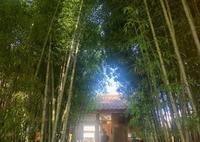 大田苏堤洞|首尔乡巴佬推荐:竹林茶店风流家
