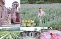 【苗栗景点二日游】紫色薰衣草花海、哈比小镇、高架草莓园,以及网美最爱的球池咖啡厅,约会景点好去处,一起置身在梦幻美景里吧