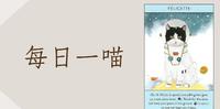 【每日一喵】猫咪大师 : 首只登上太空的猫「费莉塞特」(Félicette)