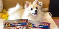 开箱日本国民宠物品牌 DoggyMan 犬用绢纱牛肉条、牛肉块