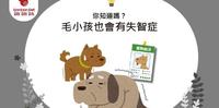 你知道吗?毛小孩也会有失智症