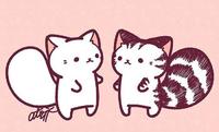 和好的两只猫猫