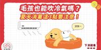 【天气好热?毛孩也能吹冷气吗?这3点要注意??】