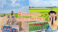 ［期间限定景点］超萌咖波彩绘稻田｜稻草卷超Q立牌