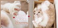 【猫咪冷知识】一秒读懂喵星人15种肢体语言,猫奴铲屎官必看!