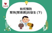 如何预防肾狗[肾衰竭]的发生 (下)