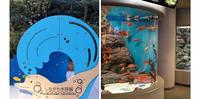品川 | 品川水族馆 亲子同游超合适 还有公园可以散步