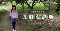 五股环保新幂境｜五股夏绿地、疏洪圳边公园步道、五股守让堂