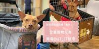 与毛孩同逛商场「瞎拚」!全台宠物友善商场OUTLET整理