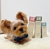 《佩可尔PetCare》宠物外出必备,除蚤好物推荐,乐无蝨、宠肤洁、毛耳洁帮助毛孩好健康