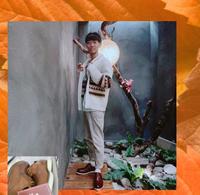 [鞋款推荐]提升穿衣品味、专业形象的好Parter-克里斯皮鞋