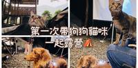首次带狗狗猫咪一起露营??