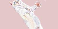 《插画》一只玩躲避球的猫咪