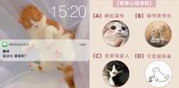 【心理测验】你会换上哪种猫咪LINE头像?测你内心的隐藏性格!