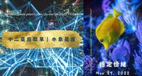 十二星座歌单︱水象星座︱巨蟹座 ♋️、天蠍座 ♏️、双鱼座 ♓️
