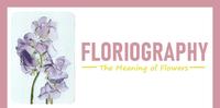 【每日花语】豌豆花(Sweet Pea):分离-《Floriography》
