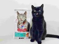 【希尔思宠物食品 成猫 完美体重】让毛孩健康瘦 远离肥胖困扰 陪伴我们更长久