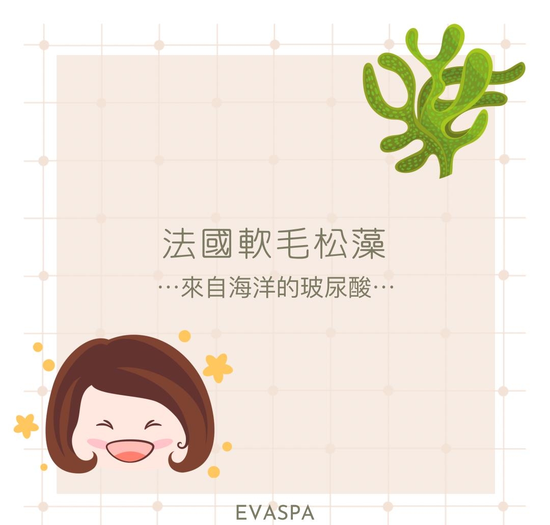 美容成份│『法国软毛松藻』浅滩中闪耀的绿钻石，来自海洋的玻尿酸！