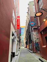 墨尔本韩式踩雷By korea