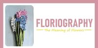 【每日花语】风信子(Hyacinth)：忠诚-《Floriography》