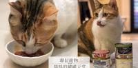 | 开箱 X 猫奴 | 猫奴们看这边!4款健康猫罐头推荐 都在Petzoo 联信宠物